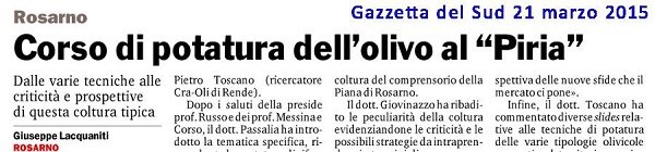 Corso di potatura dell’olivo al Piria